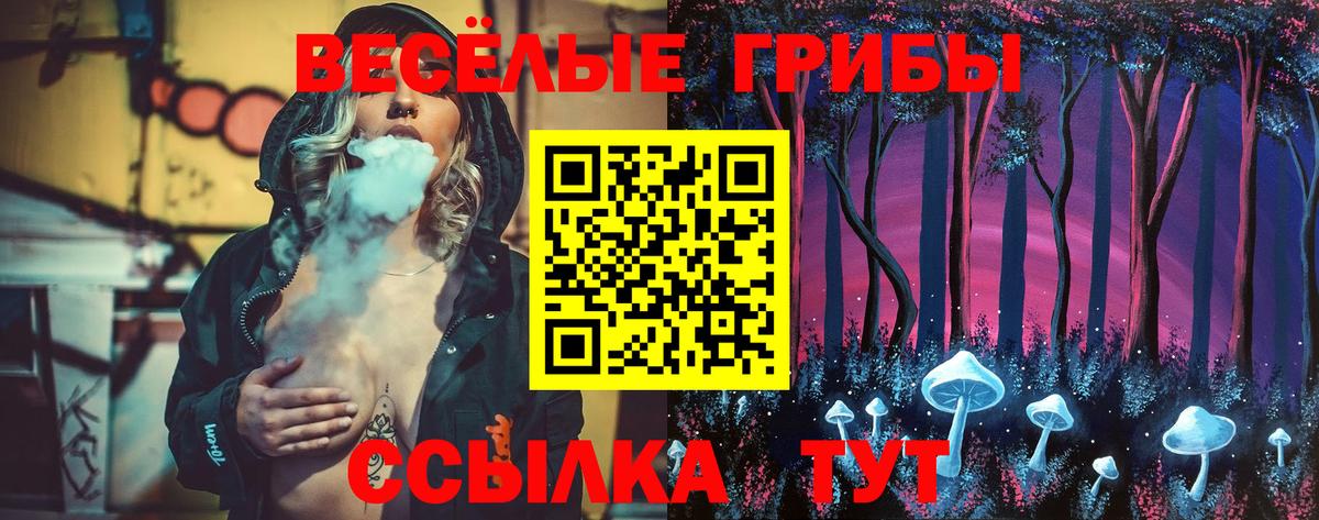 Псилоцибиновые грибы мицелий Тара